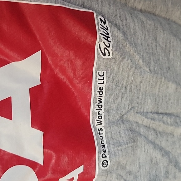 PEANUTS SNOPY PISA Italia Girls Large Short-Sleeved T-Shirt Size LG Gray and Red - Picture 4 of 5